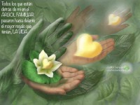 /album/coach-sistemico-online/manoregalo-jpg/